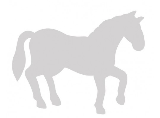 Kartonový výsek-tvar k dekoraci Kůň a hříbě 29x21/15x15cm-10ks
