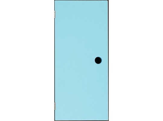Šatní dveře Aurednik DL60 dřevěné lamino barevné