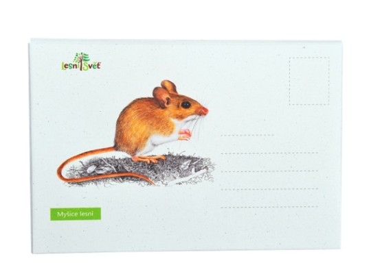 Puzzle dřevěné do kapsy-v obálce-Myšice-12 dílků