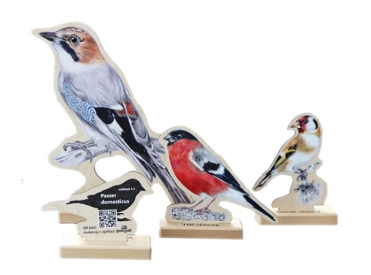 Prvek edukační - Sada dřevěná 3D maketa ptáci