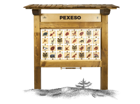 Informační tabule naučná dřevěná venkovní - Pexeso M Listnaté dřeviny list/plod - prvek edukační