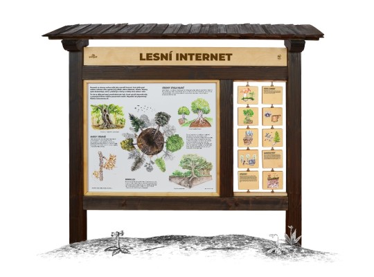 Informační tabule naučná dřevěná venkovní - Lesní internet M - prvek edukační