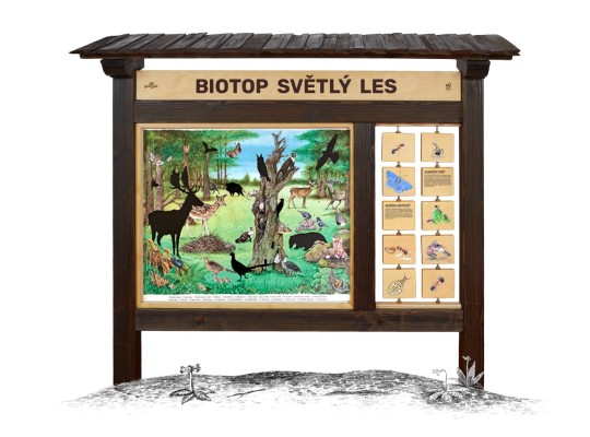 Informační tabule naučná dřevěná venkovní - Biotop M Světlý les - prvek edukační